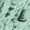 sage color