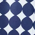 navy color
