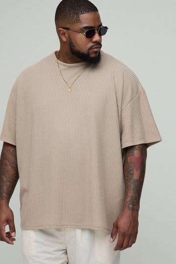 Plus Oversized Textured T-Shirt stone