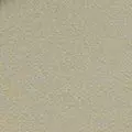taupe color