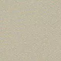 taupe color