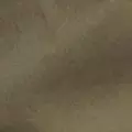 khaki color