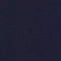 navy color