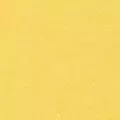 mustard color