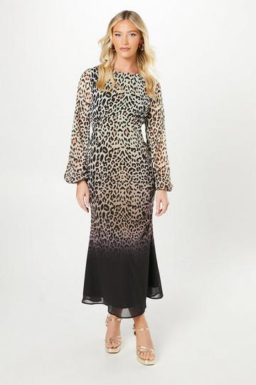 Debut London By Coast Animal Print Blouson Sleeve Georgette Midi Dress multi