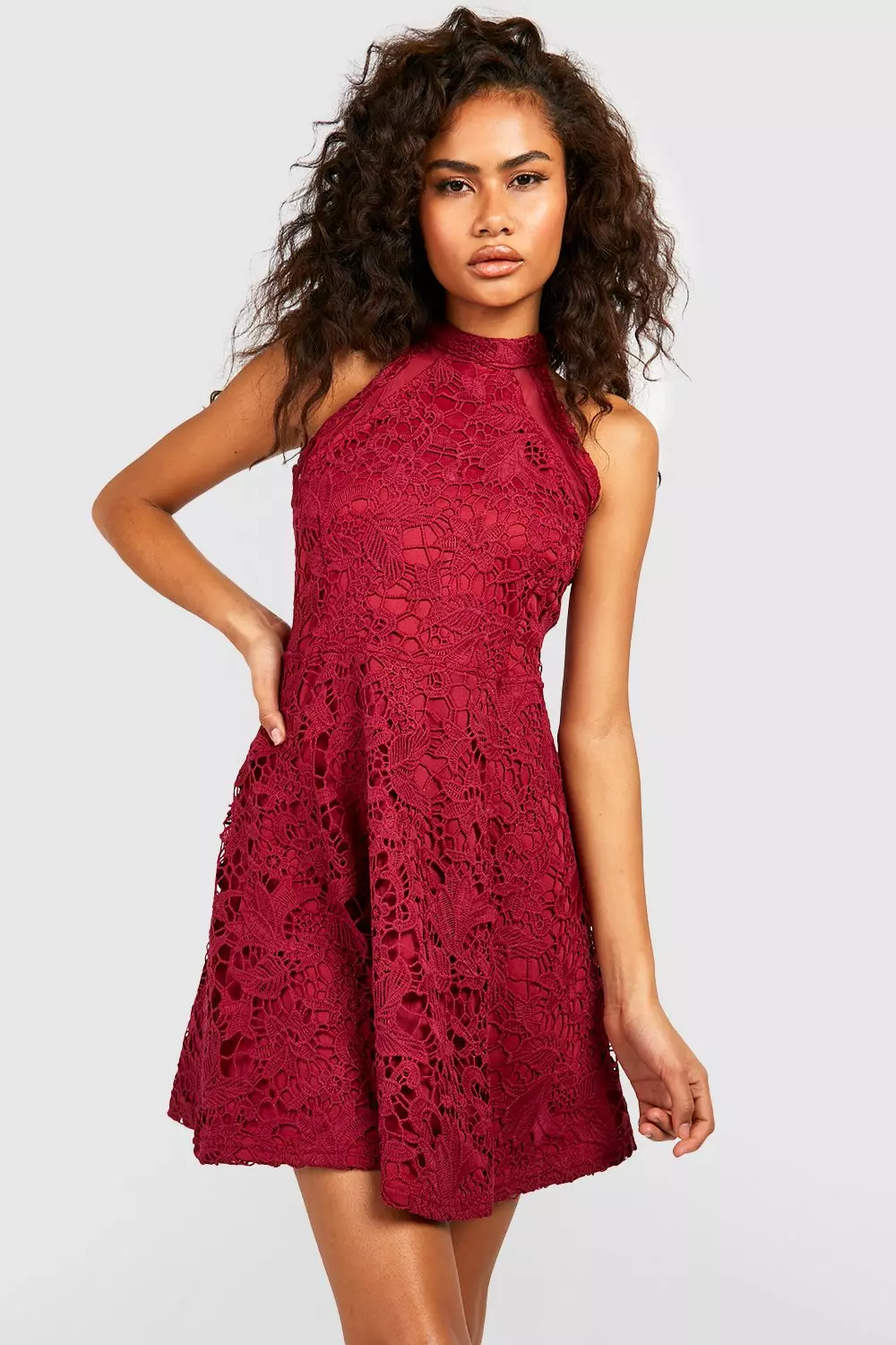 Lace High Neck Skater Dress