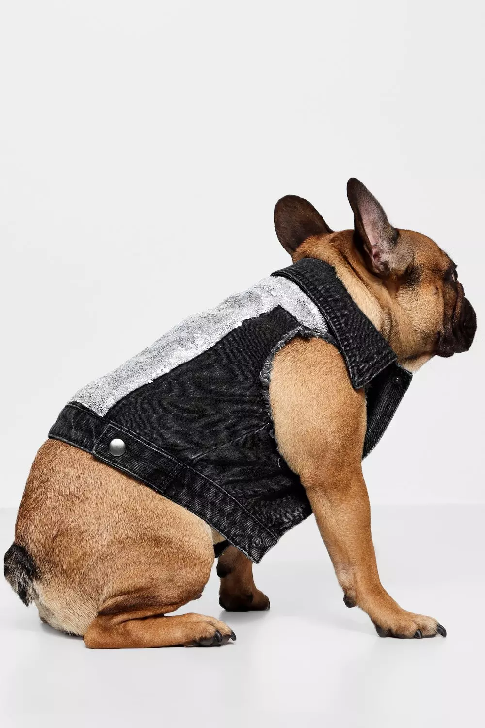 Boohoo dog clothes hot sale