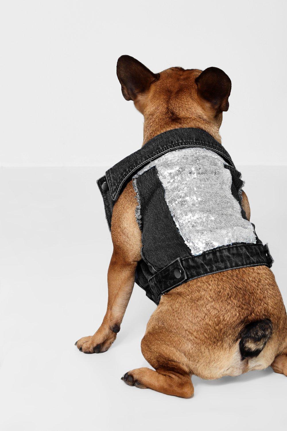 Boohoo on sale dog clothes