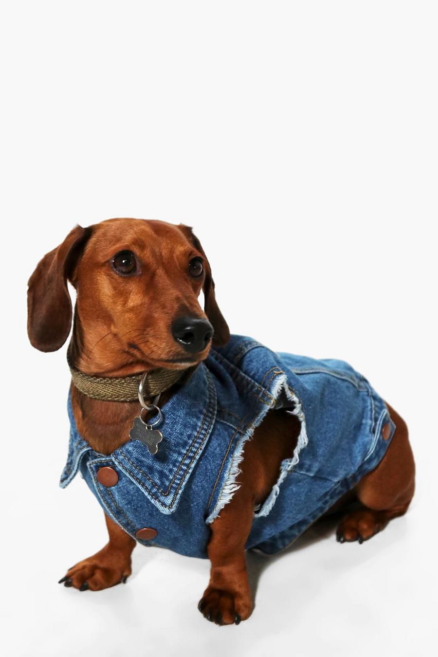 Jacke aus Denim für Hunde, Mittelblau image number 1