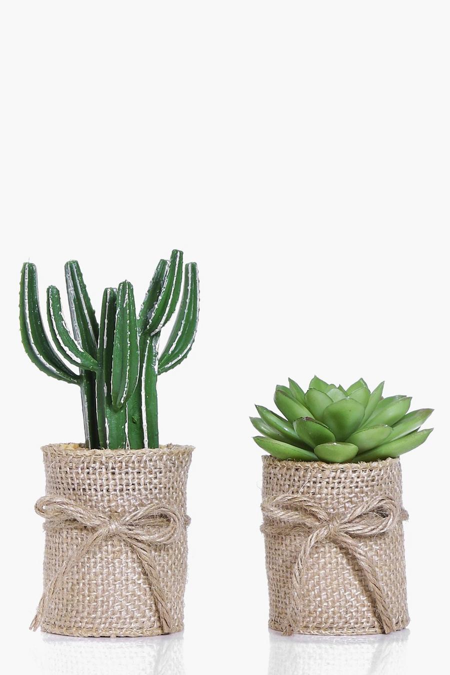 2 Hessian Wrap Faux Cactus & Aloe Plants image number 1
