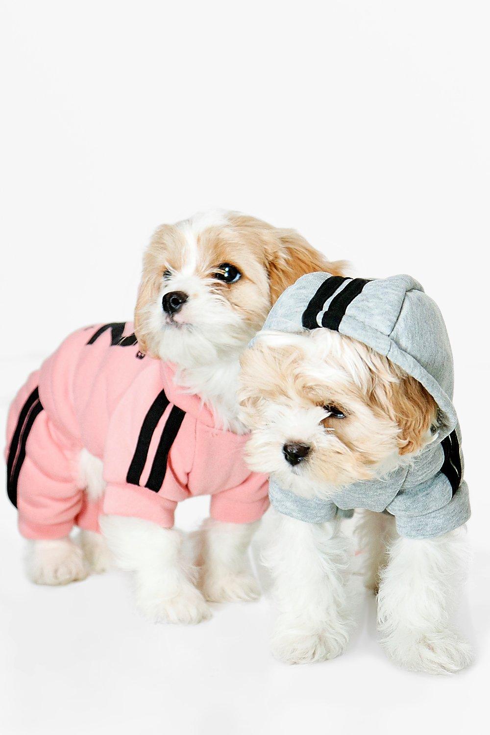 Tenue pour chien hot sale