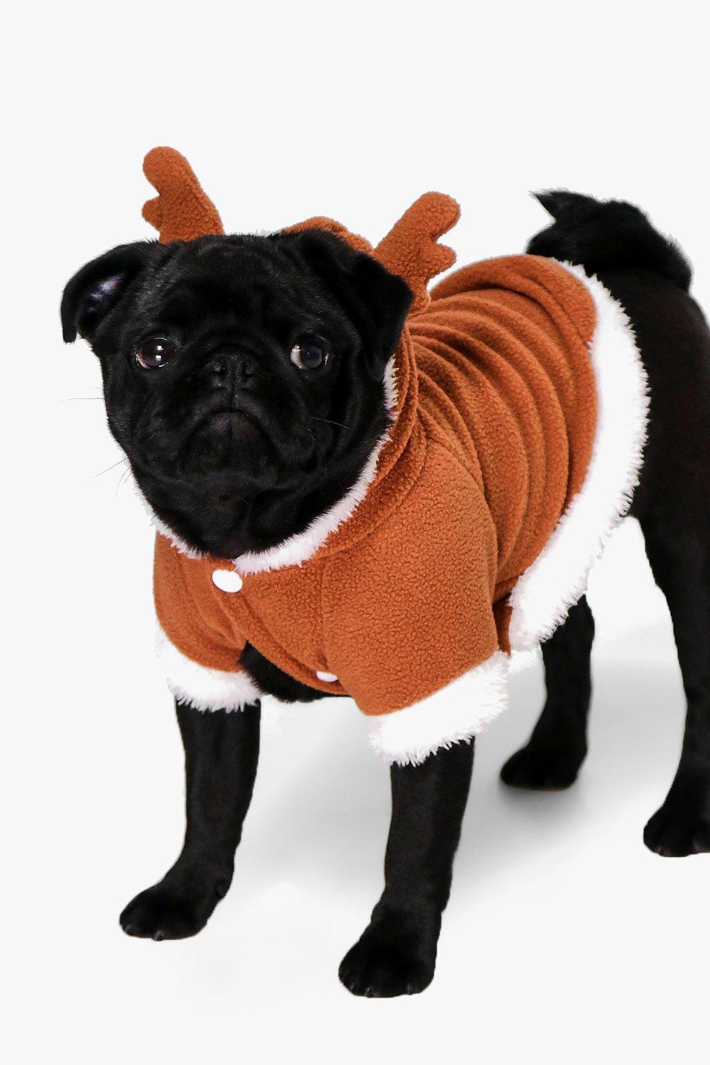 dog reindeer outfit