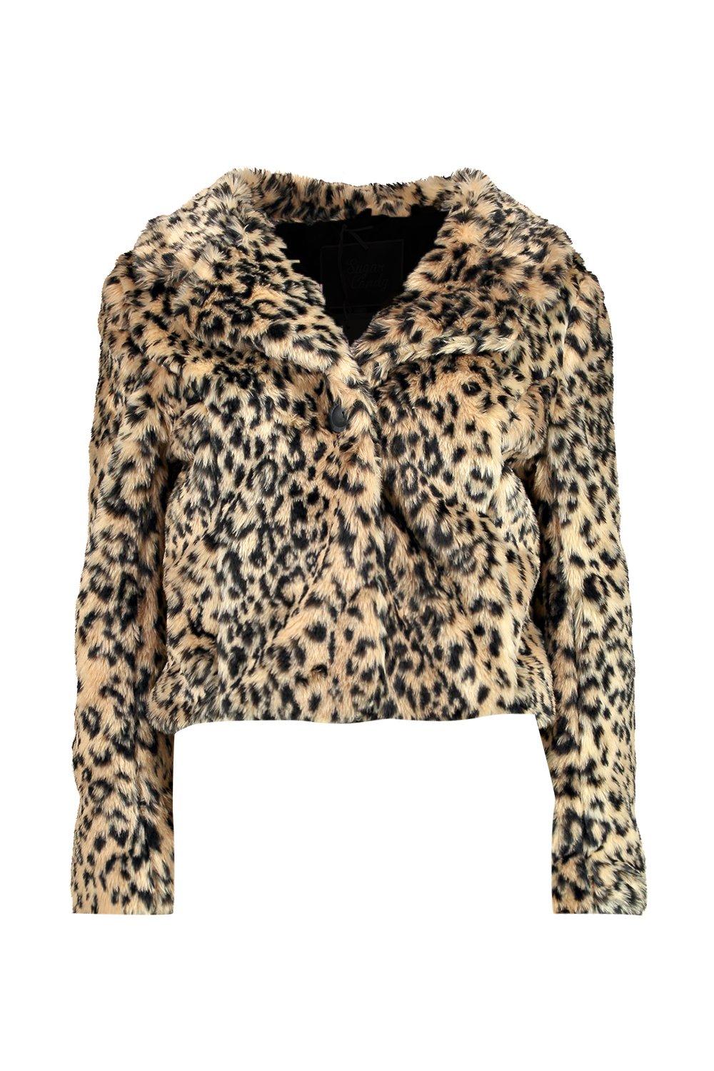 Boohoo on sale leopard coat