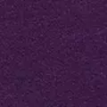 jewel-purple color