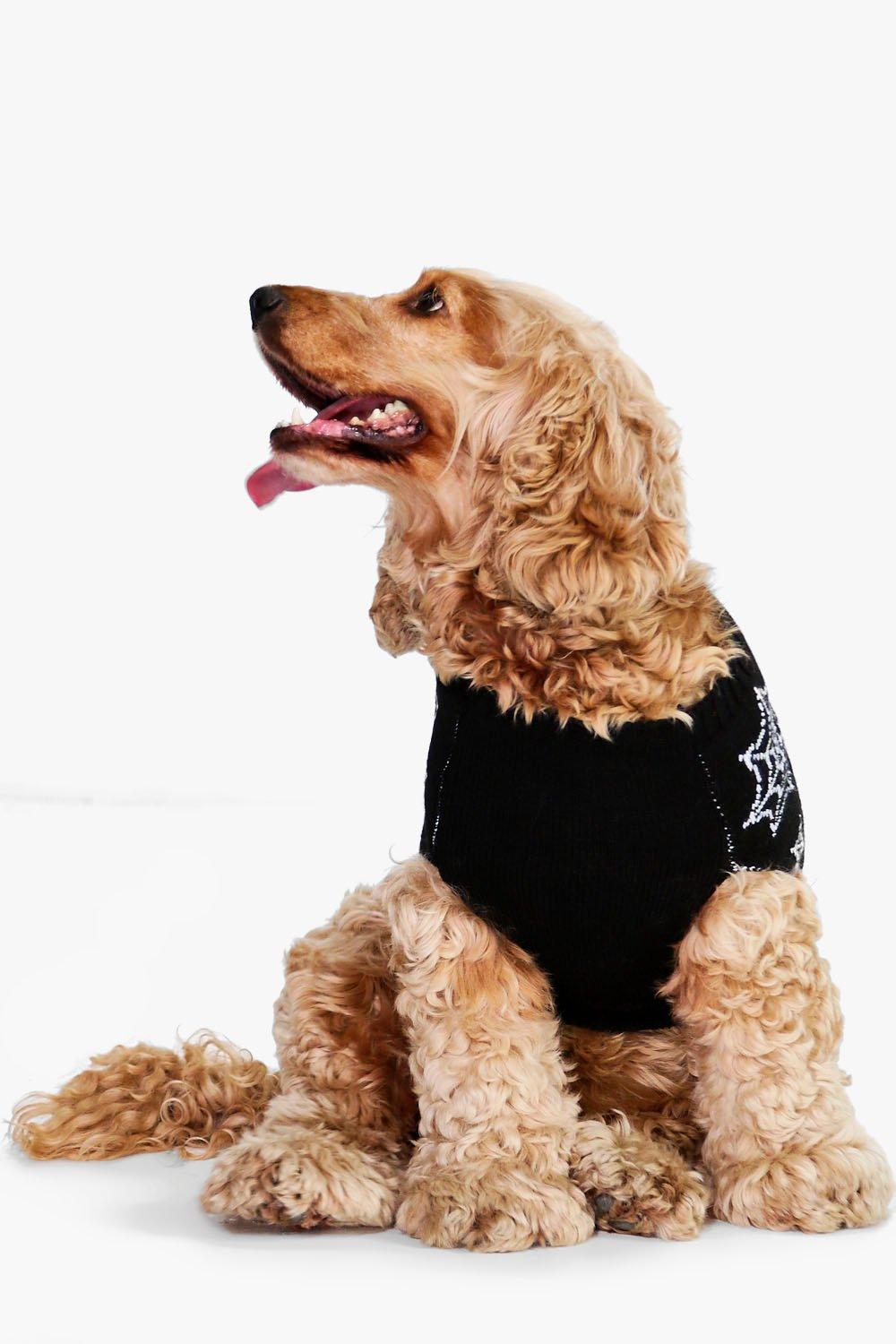 Hannah Halloween Cobweb Dog Jumper boohoo NZ