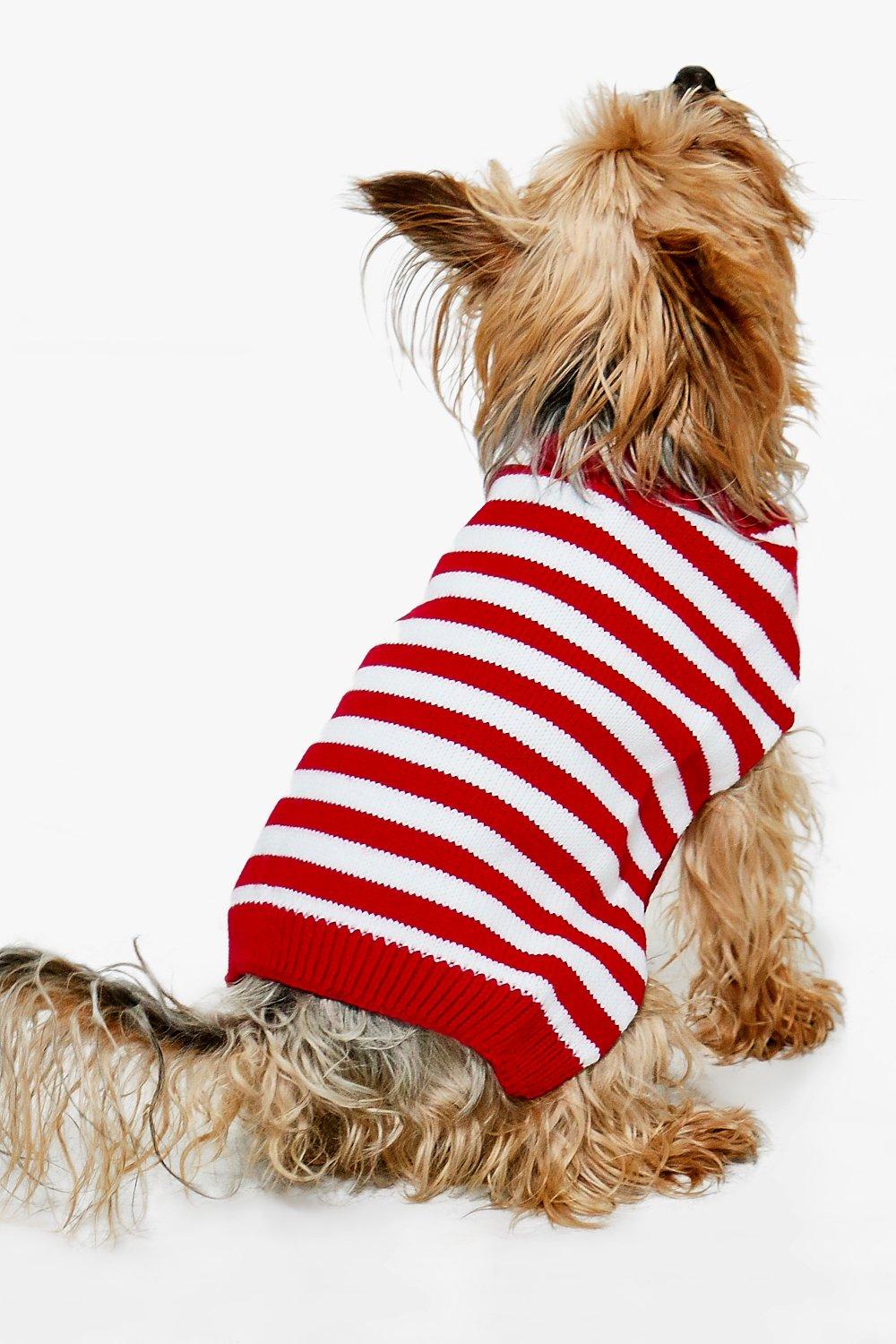 boohoo dog christmas jumper