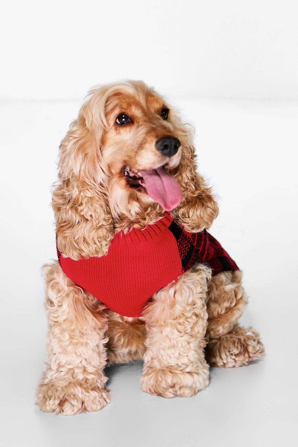 boohoo dog christmas jumper