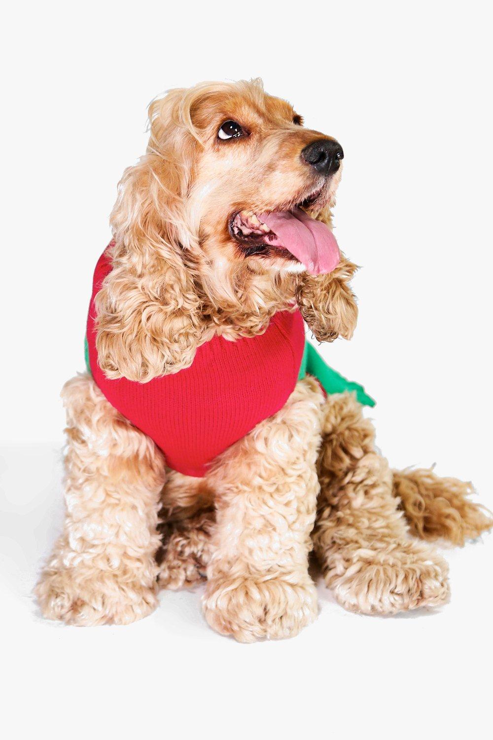 boohoo dog christmas jumper