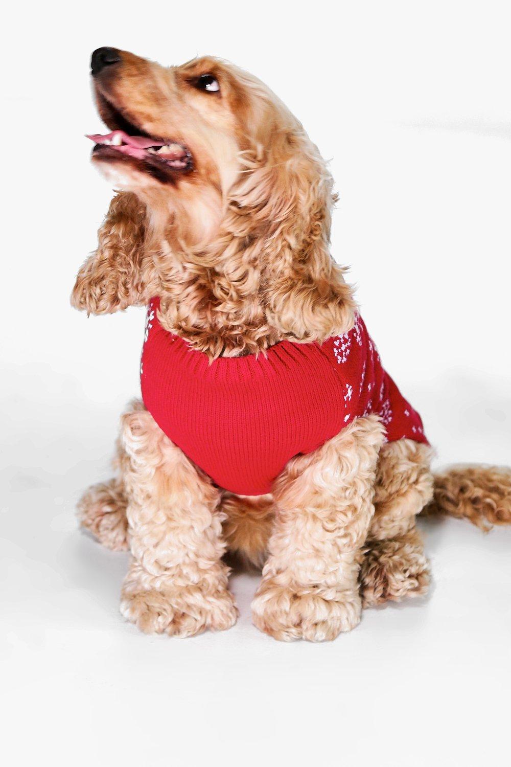 boohoo dog christmas jumper