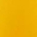 mustard color