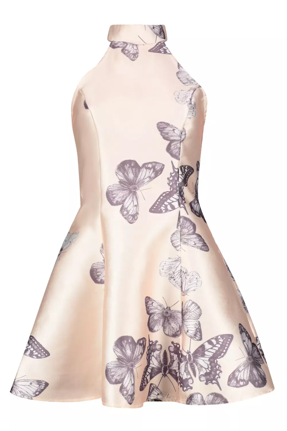 Sateen butterfly print sale fit and flare dress