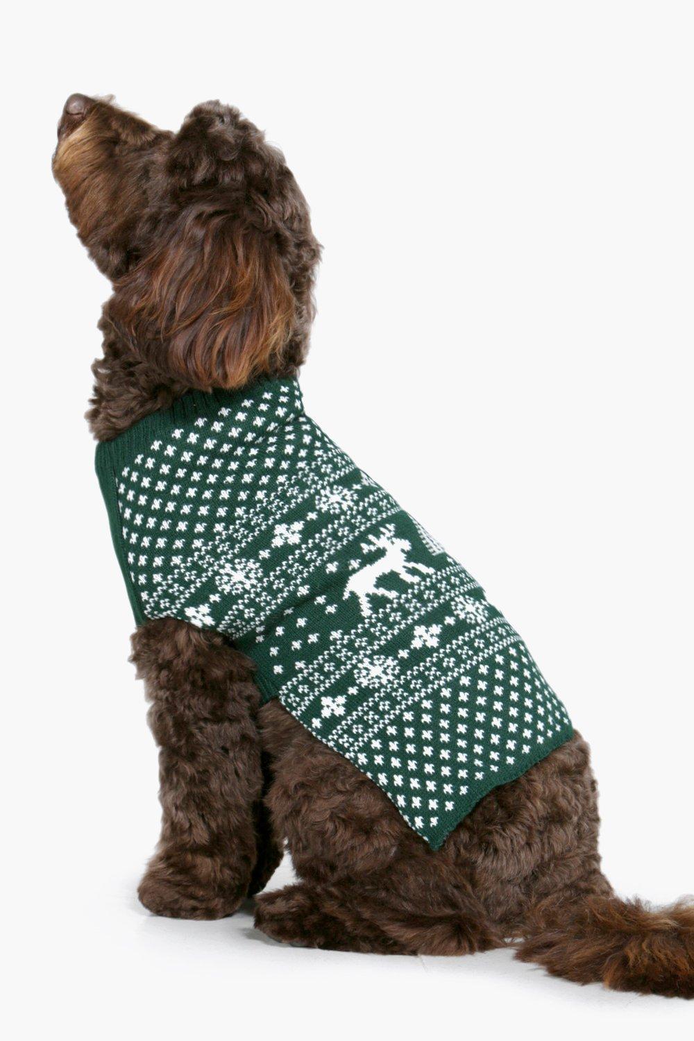 dog jumpers uk