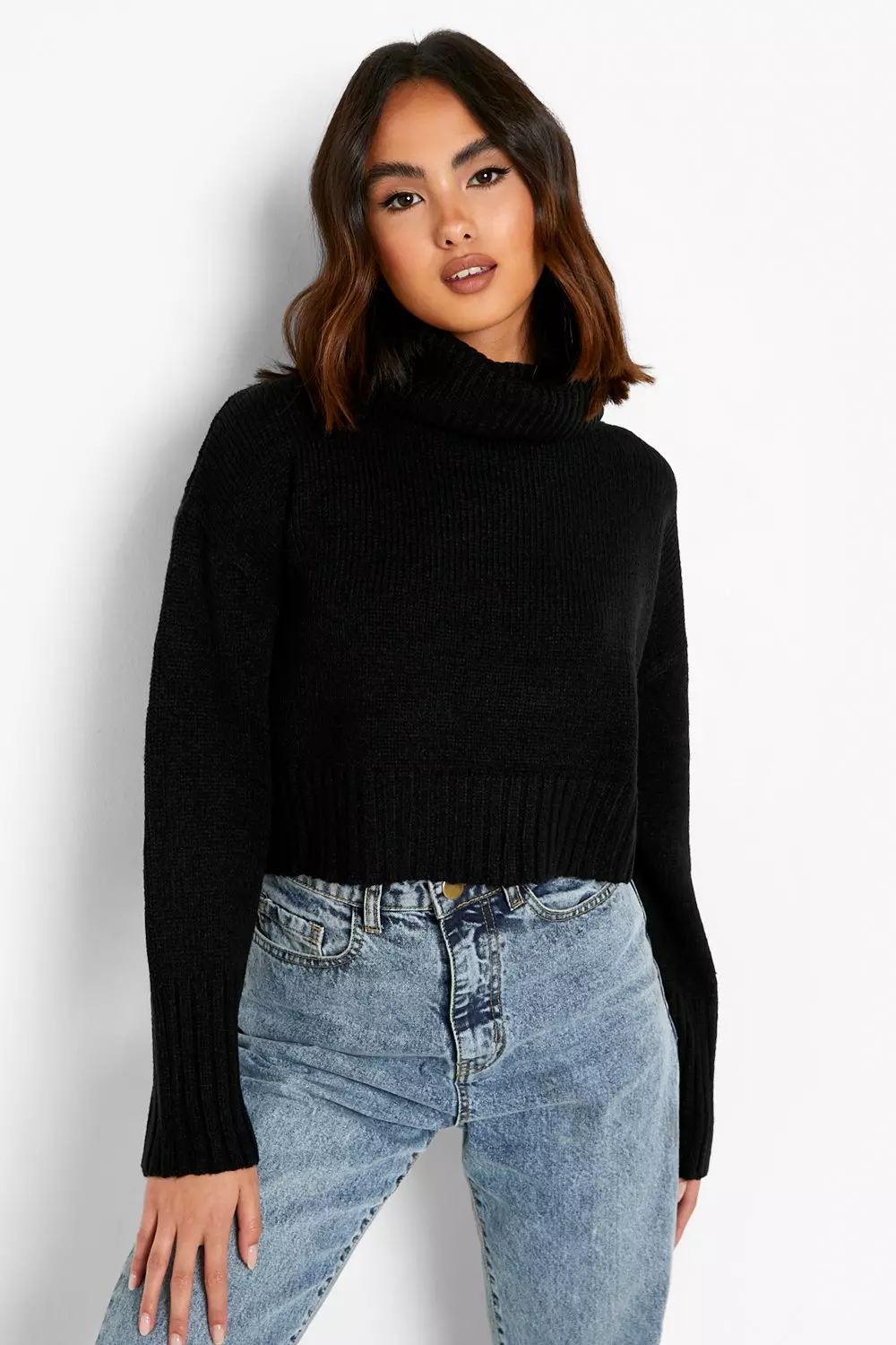 Polo neck 2025 crop jumper