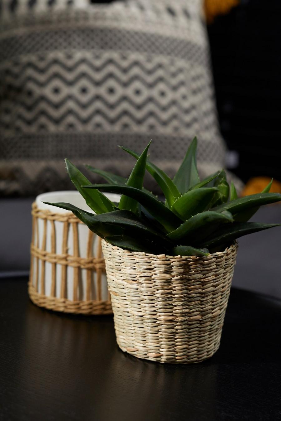Piccolo vaso realizzato in pianta erbacea intrecciata, Natural image number 1