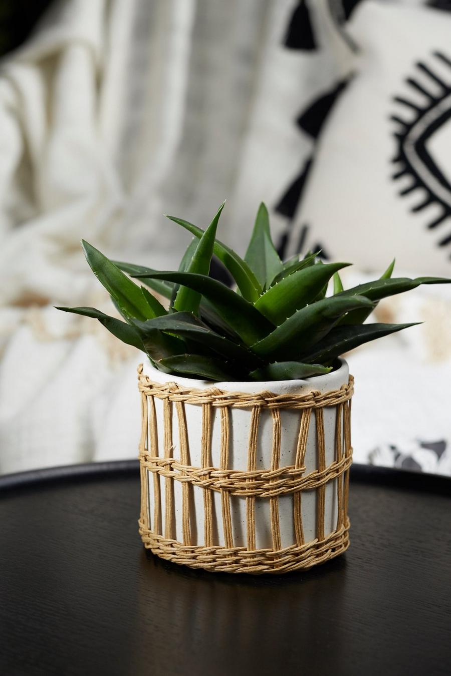Natural Speckled White & Woven Planter image number 1