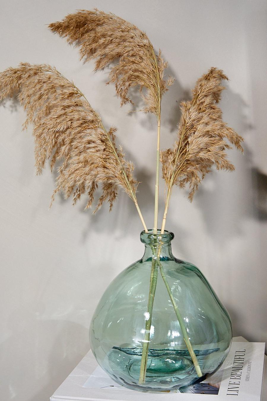 Natural The Dried Flower Collection Pampas 3 Stems image number 1
