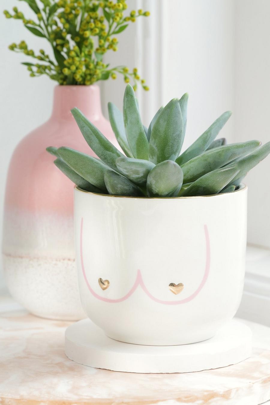 Sass & Belle - Mini pot de plante à motif poitrine, Crème image number 1
