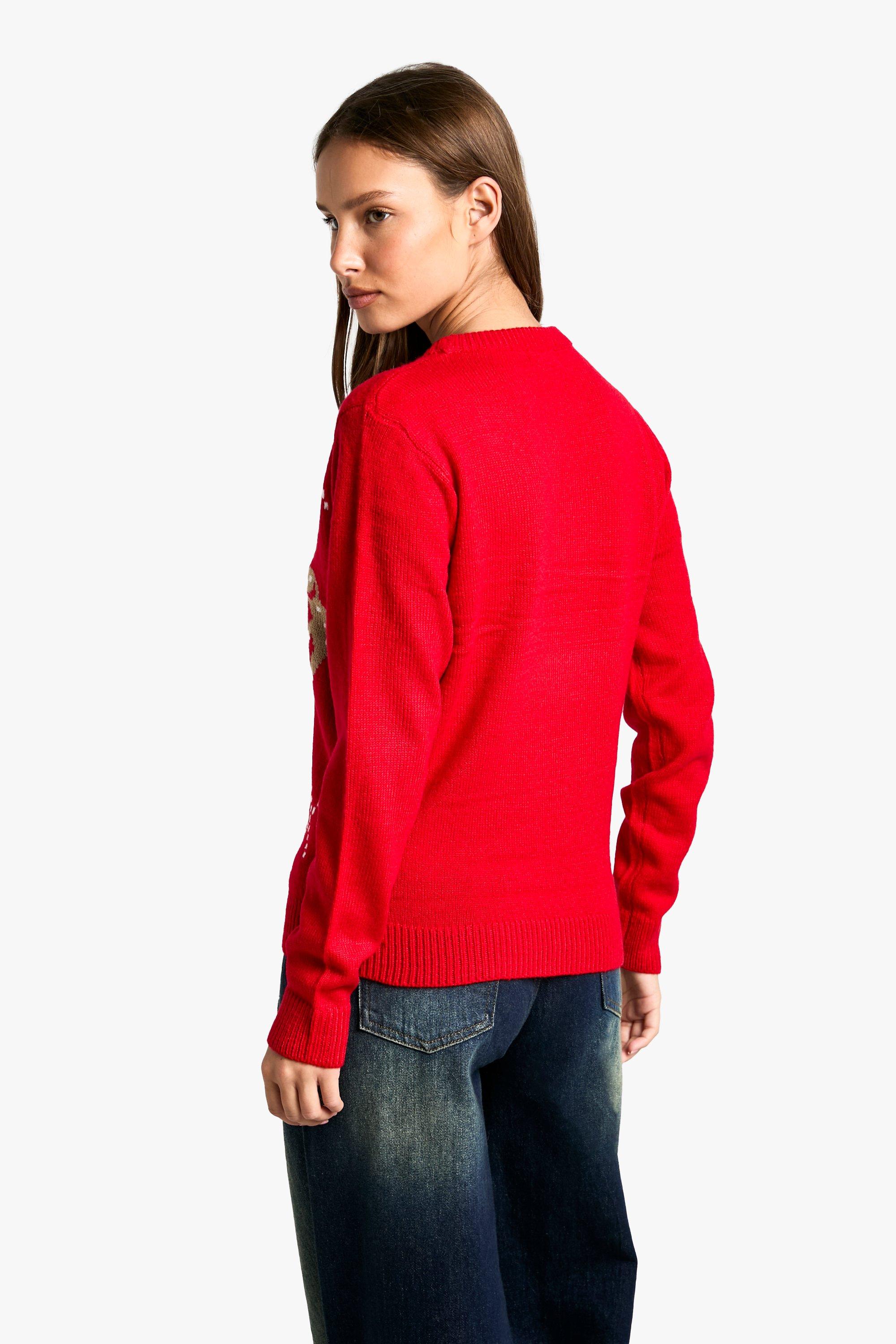 Pull de Noel a motif bonhomme en pain d epice