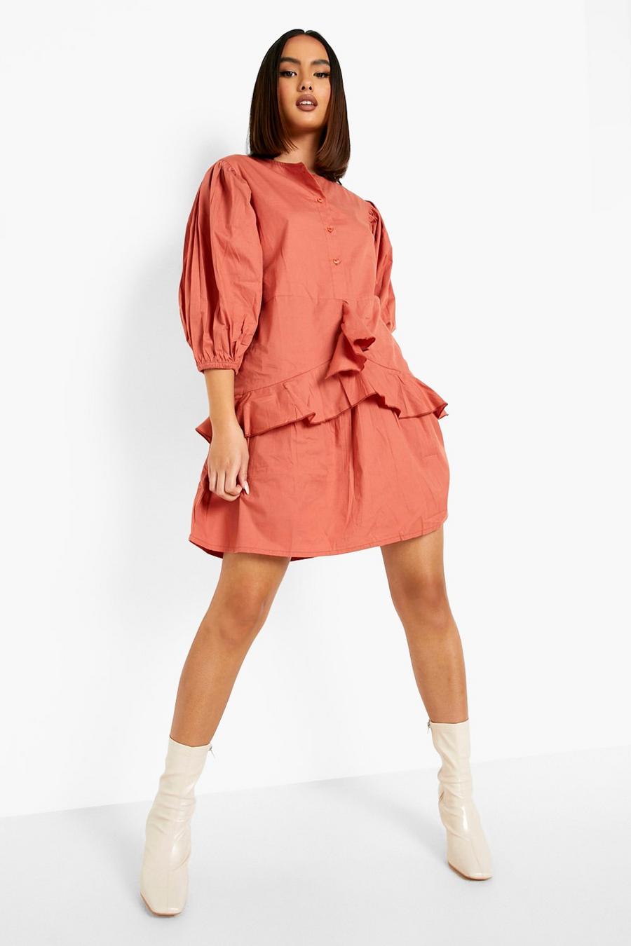 Rust Puff Sleeve Frill Detail Skater Dress image number 1