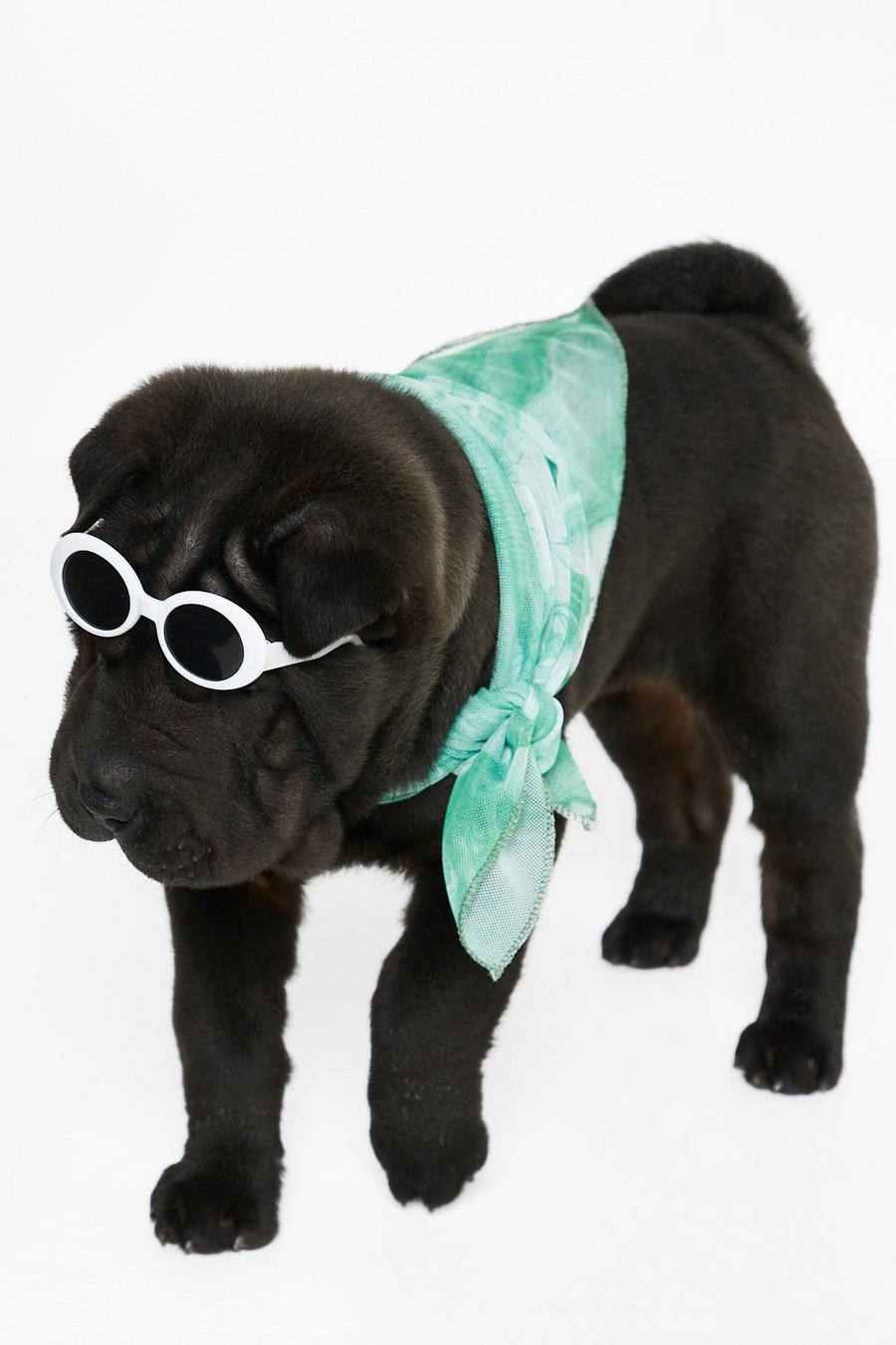 Ming Lee White Dog Sunglasses image number 1