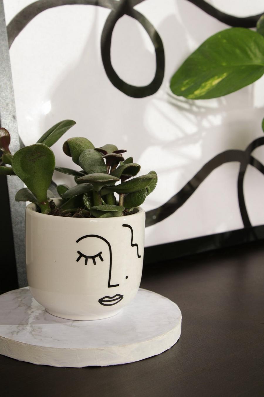 White Abstract Face Mini Planter image number 1