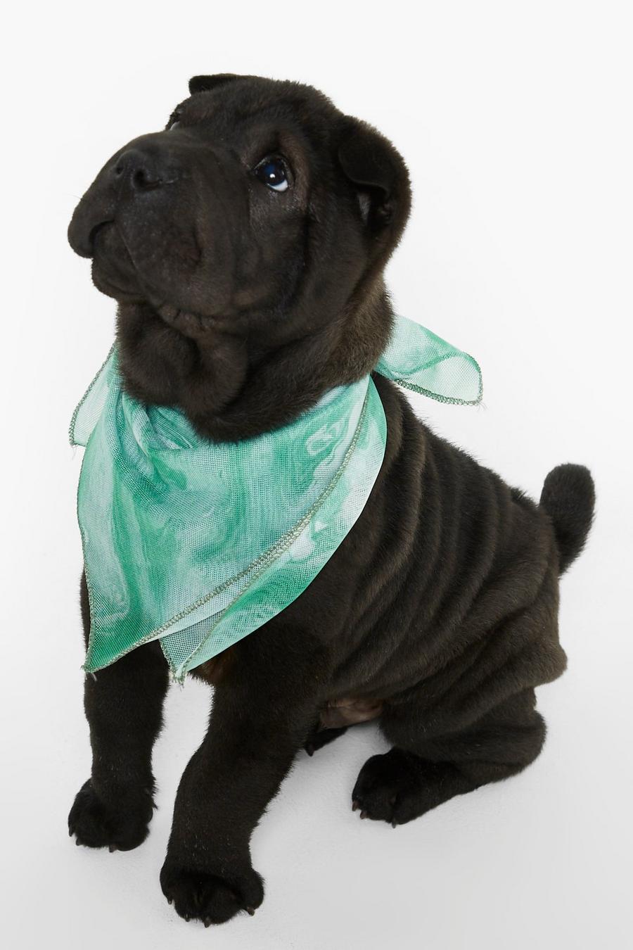 Foulard pour chien à imprimé bandana, Green image number 1