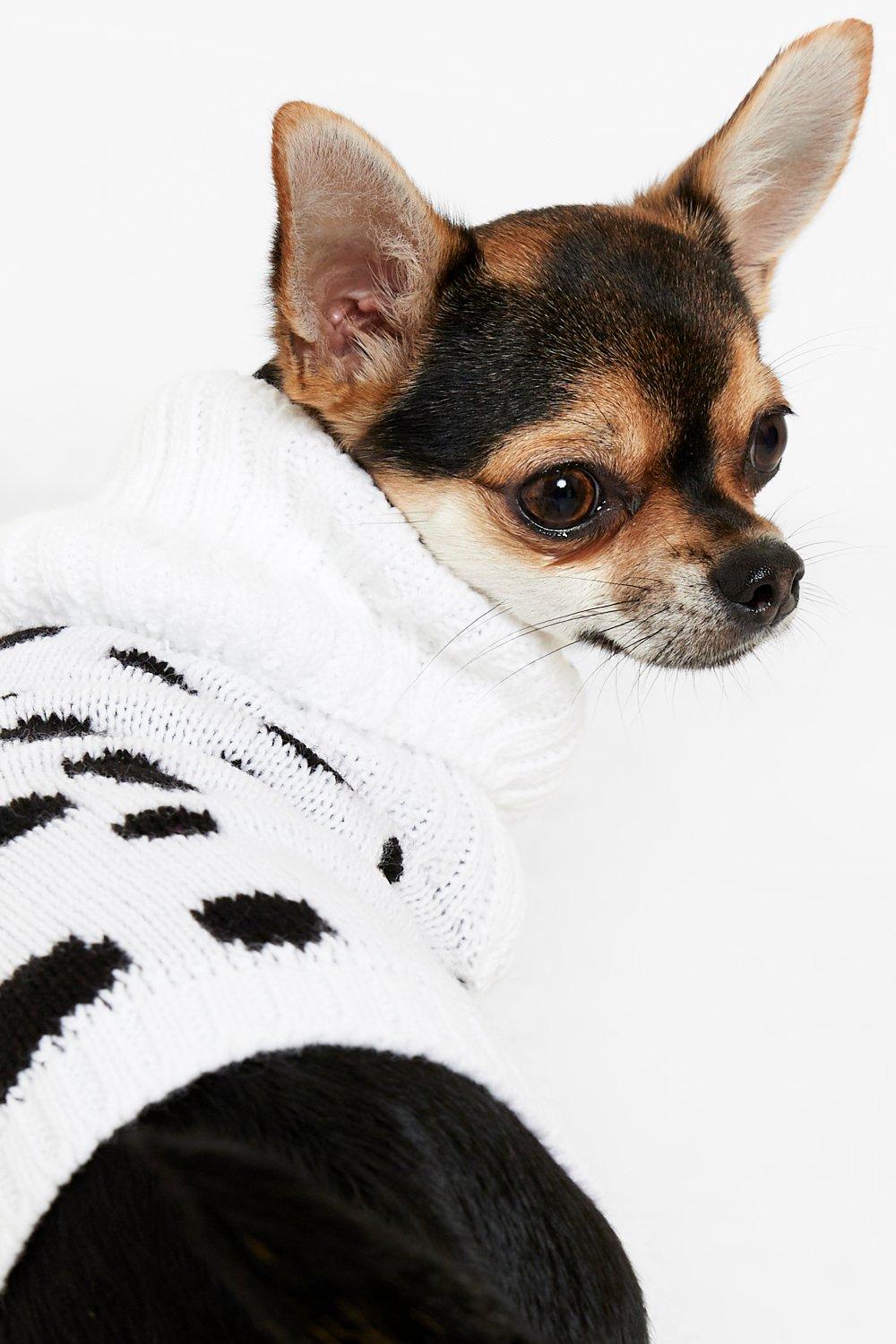 Boohoo hot sale dog clothes