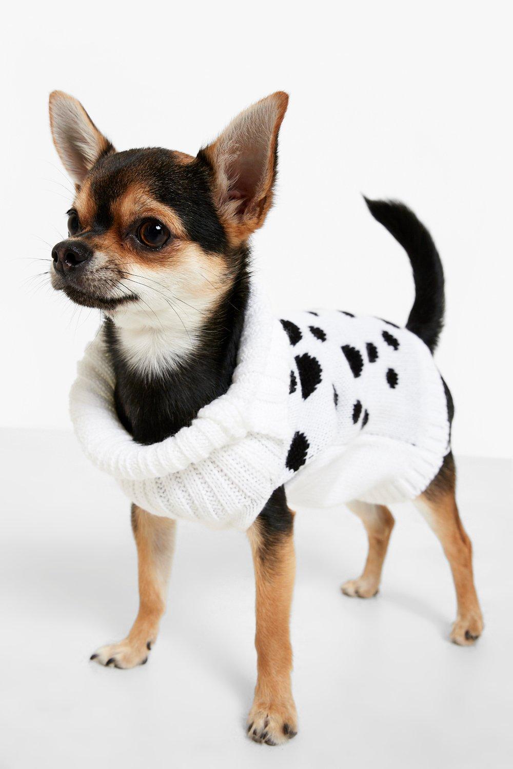 Dalmatian dog clearance clothes