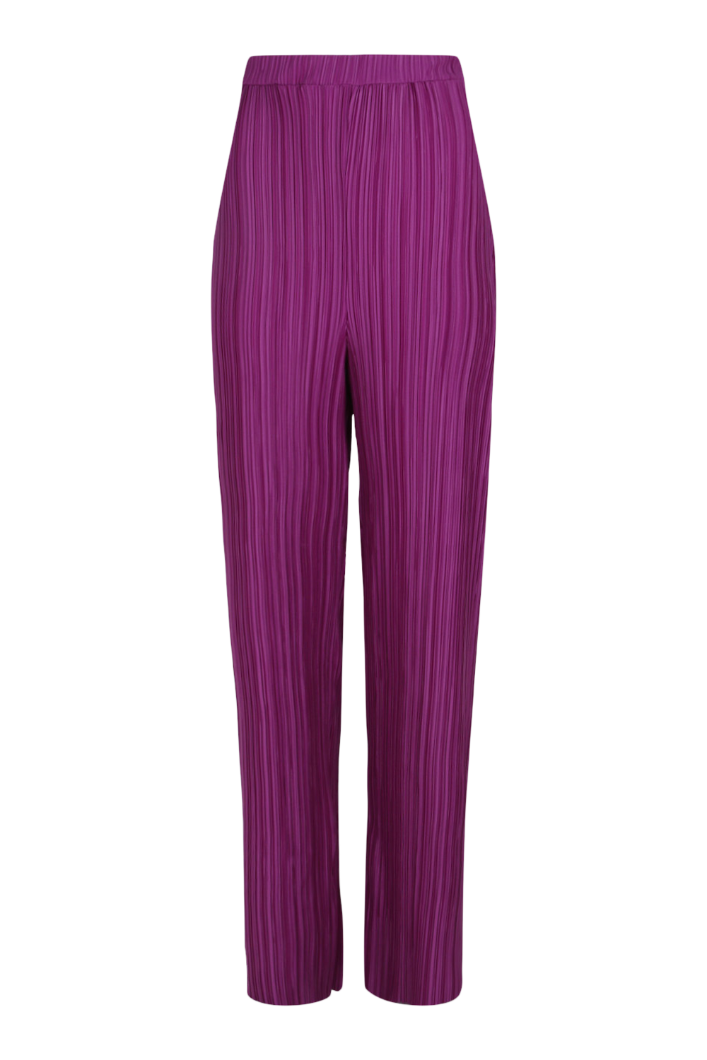 Purple best sale pleated pants