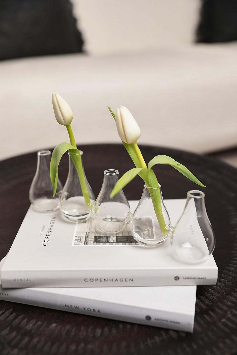 Clear clair Sass & Belle Multi Bud Vase Set Of 5