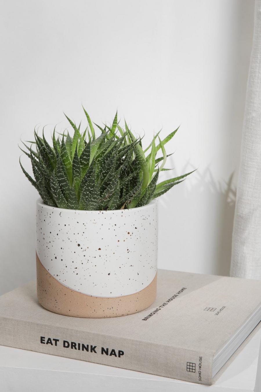 Pot de plante texturé à détails en granite, Cream image number 1