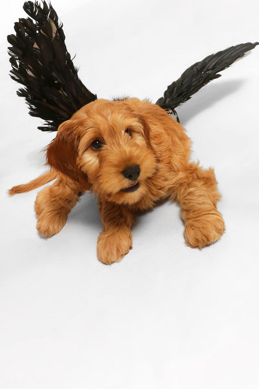 Alas de ángel para mascota de Halloween, Negro image number 1