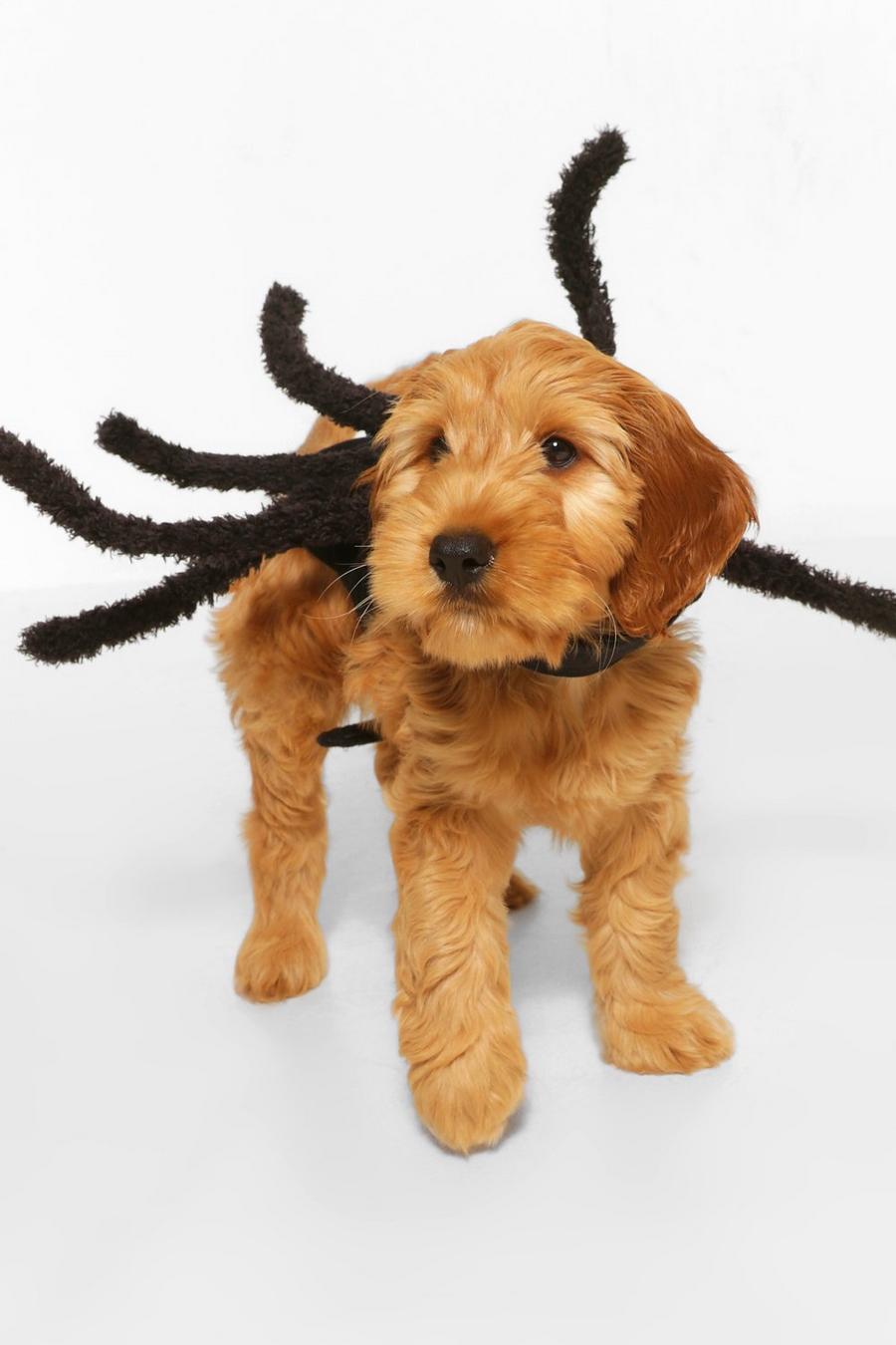 Black Halloween Pet Spider Costume image number 1