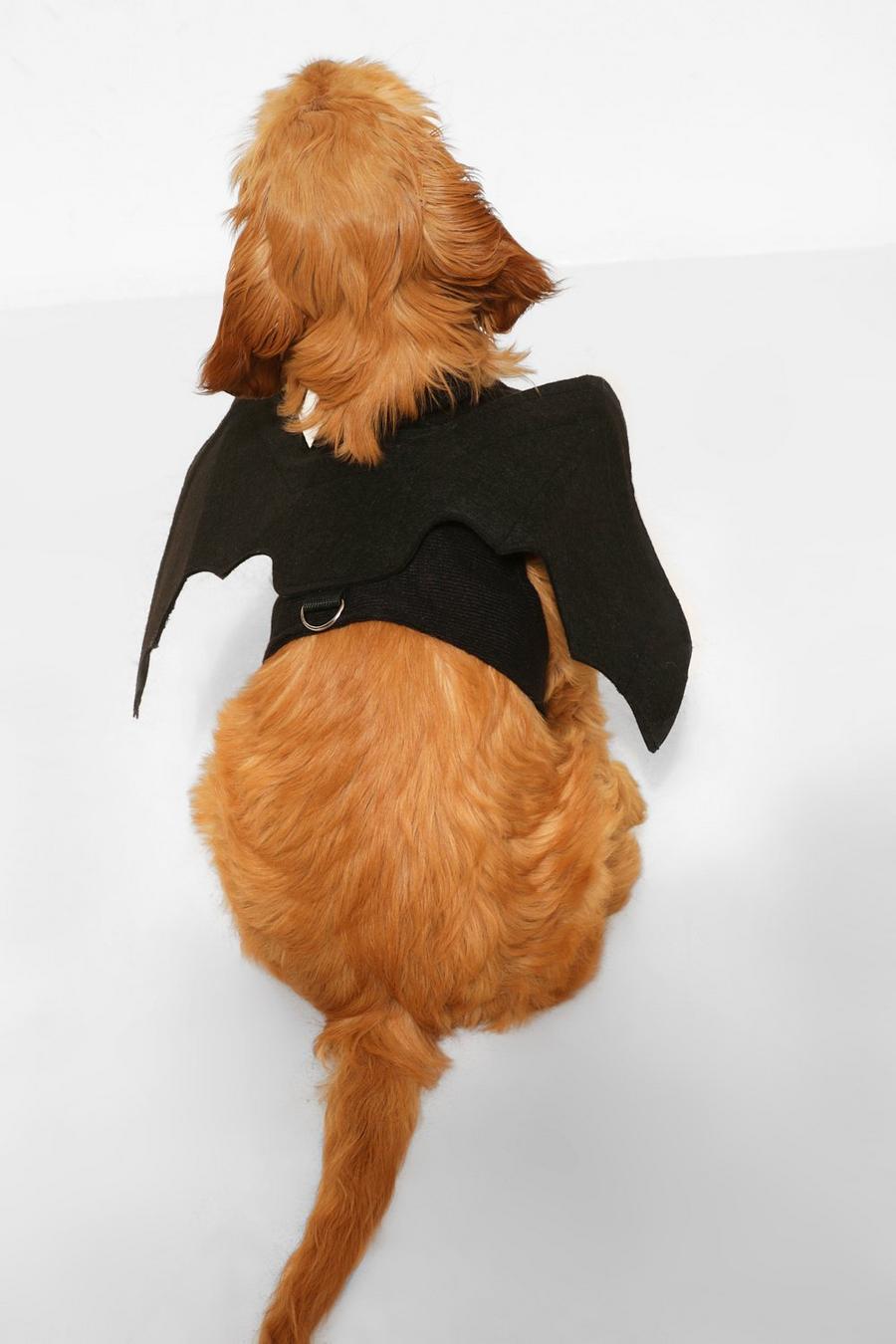 Black Halloween Pet Bat Wings image number 1