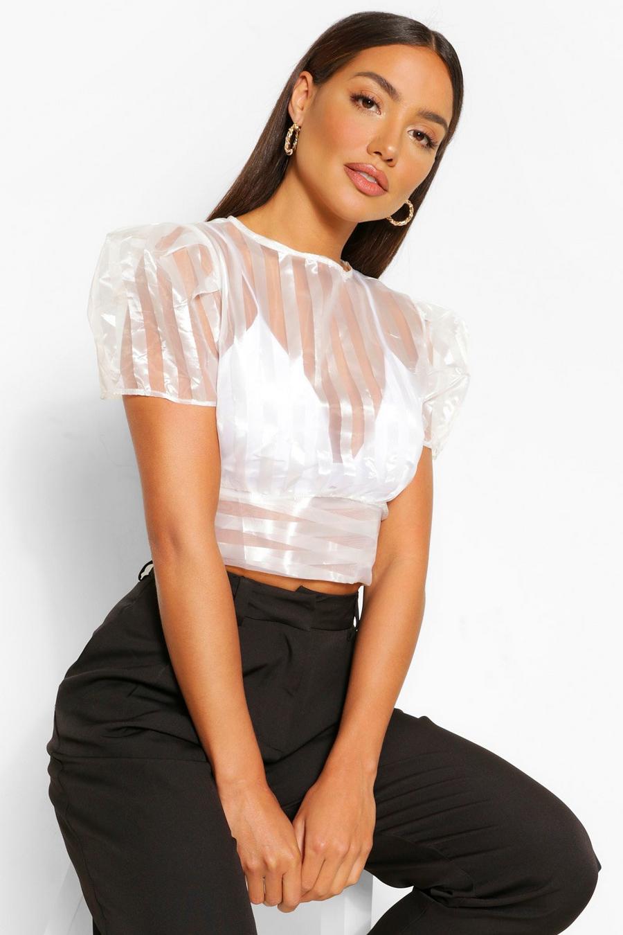 White Stripe Organza Cap Sleeve Top image number 1