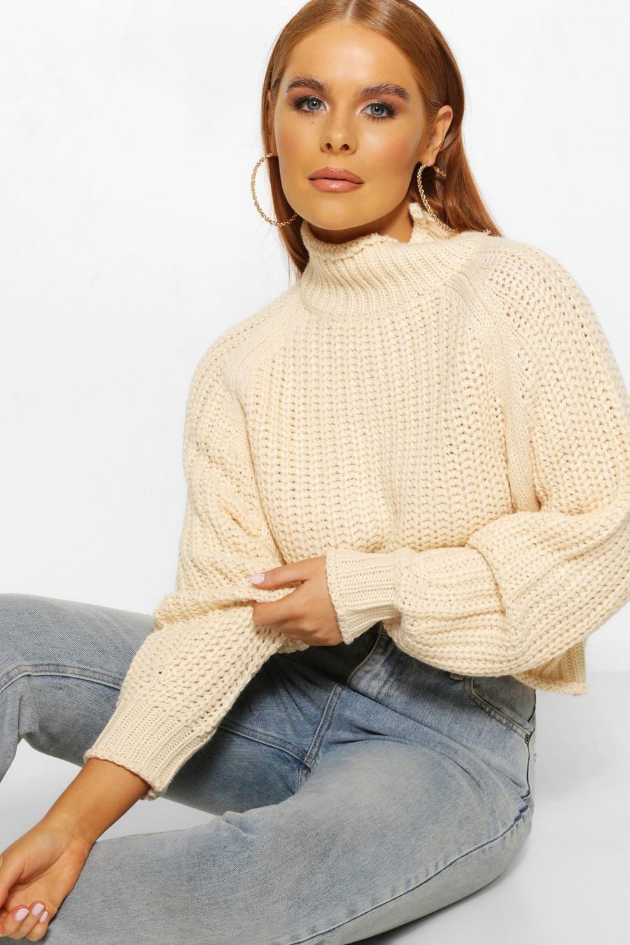 Turtle Neck Chunky Sweater image number 1