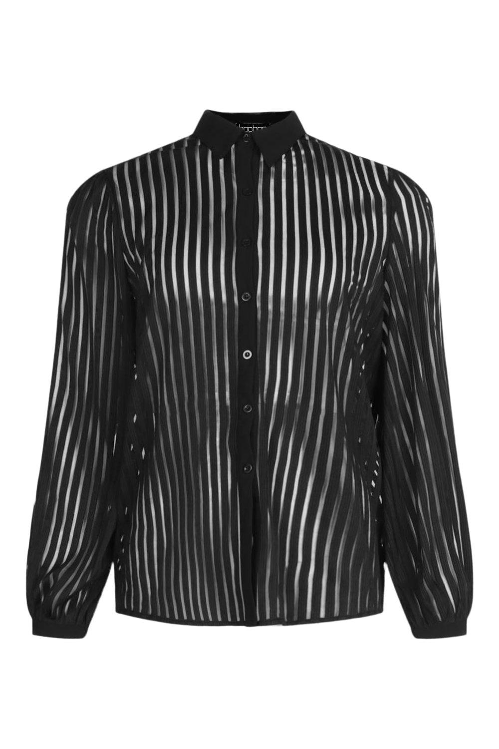 Sheer Stripe Long Sleeve Shirt