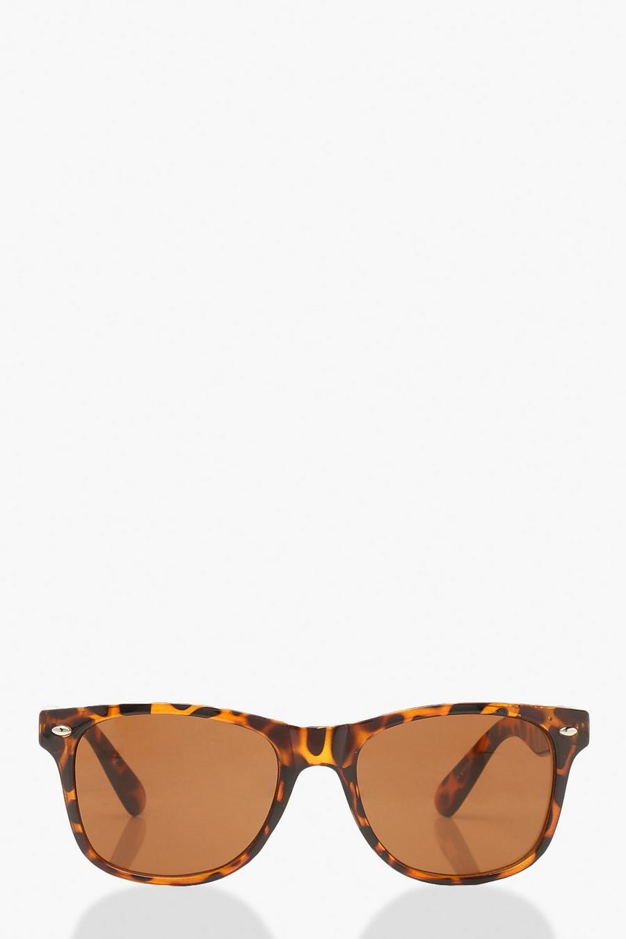 Brown Classic Frame Tinted Sunglasses