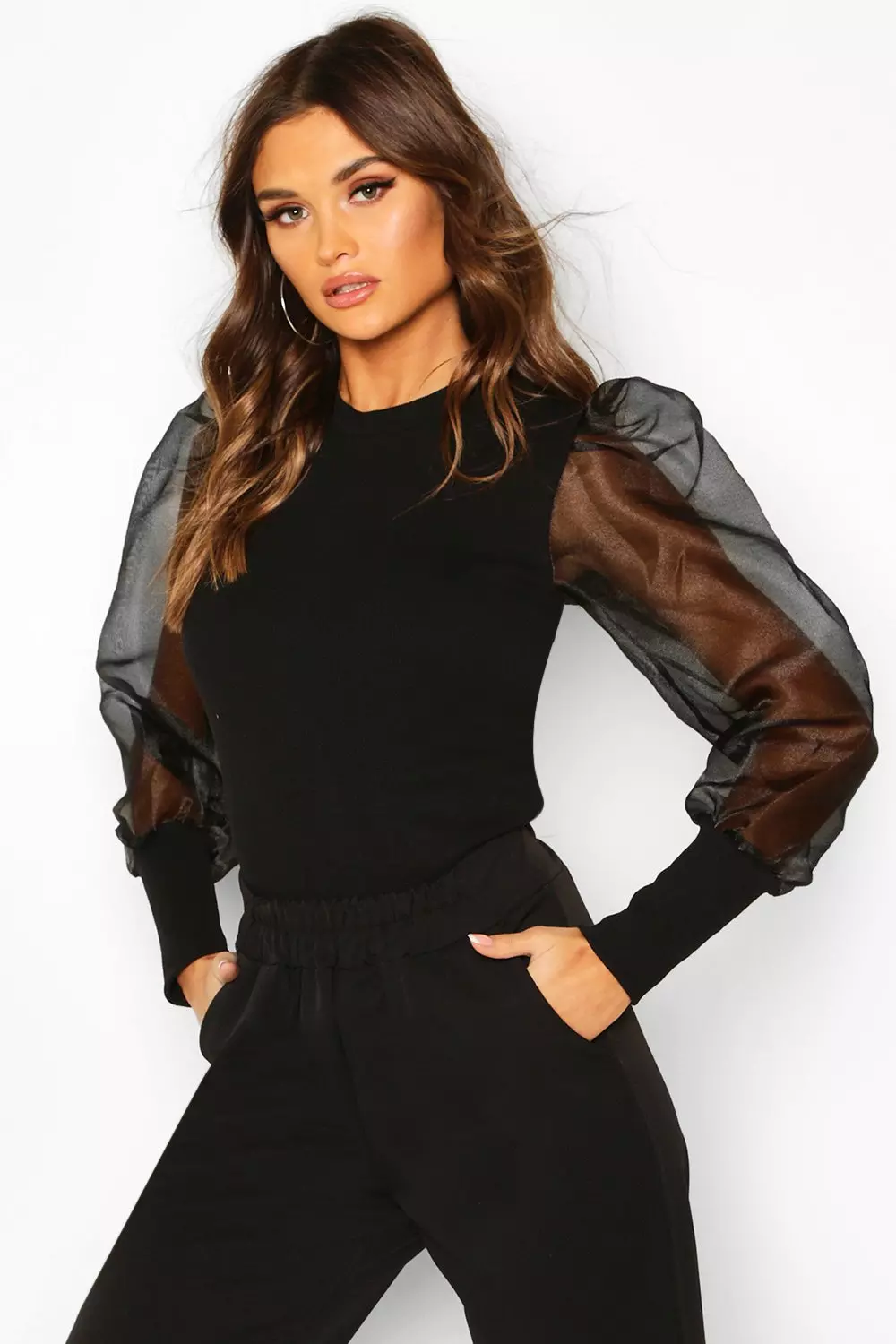 Mesh Organza Puff Sleeve Top