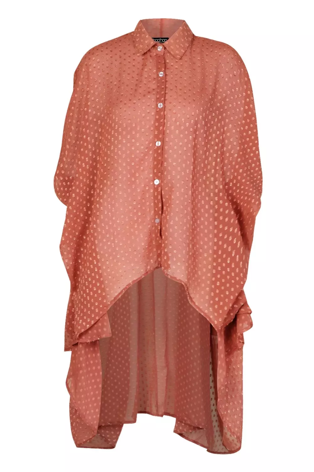 Rose Dobby Chiffon Oversized Maxi Shirt alternative image